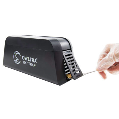 Elektrisk muse-/rottefelle | OWLTRA® lokkefugl
