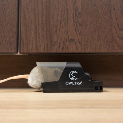 Rottefelle Clean-Kill 2-pakning | Owltra® Fangst