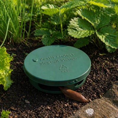 Fôringsstasjon 5 stk. | Pestis Protect® miljø