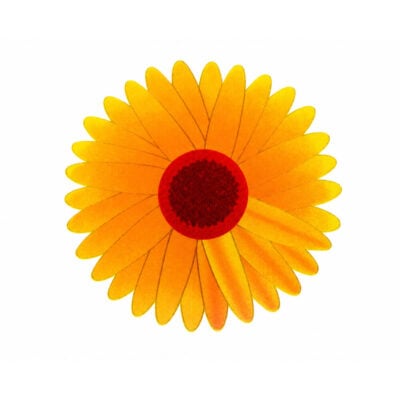Flue- & insektfelle | Vindu Gul blomst 10-pakning